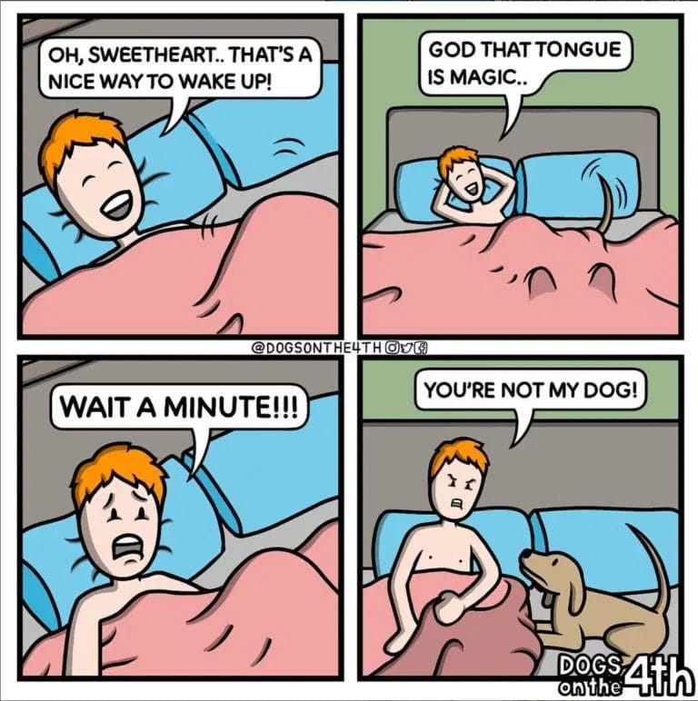 dogs on the 4th comics