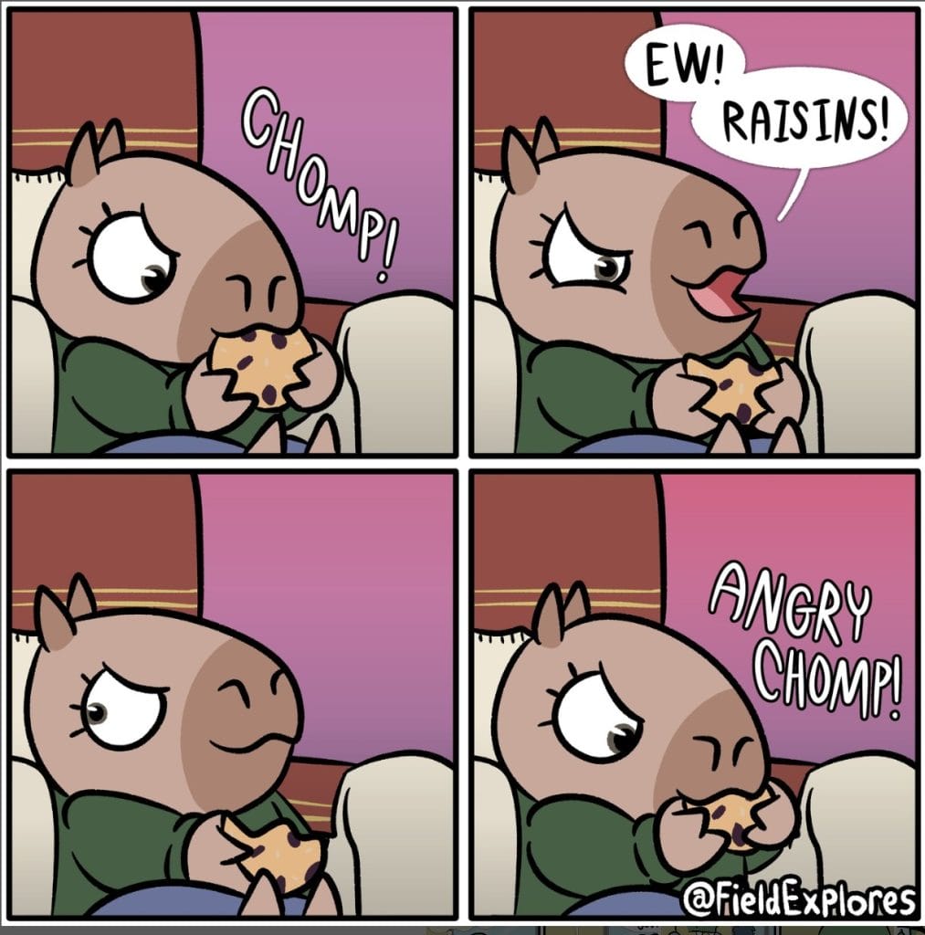 FieldExplores Comics